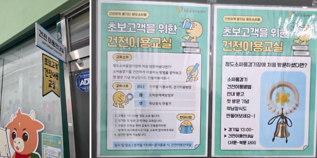 청도 소싸움 경기장