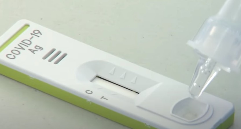 자가검사키트 사용법
