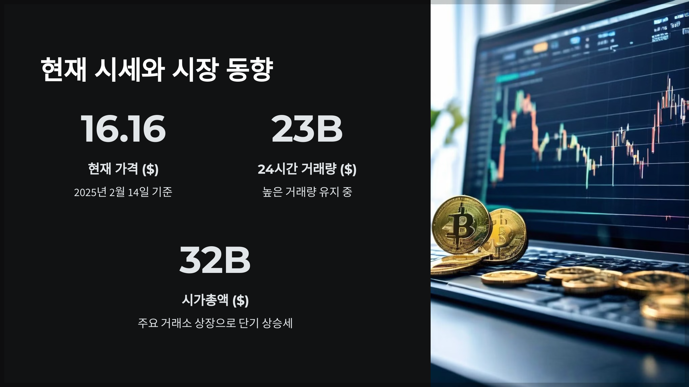 현재 시세와 시장 동향