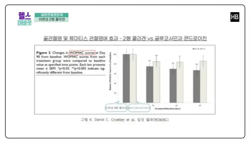 일본관절약 영양제