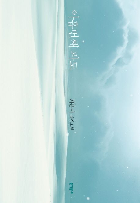 아홉번째 파도의 책 표지