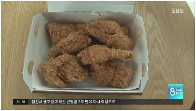 BBQ 가격 꼼수 인상