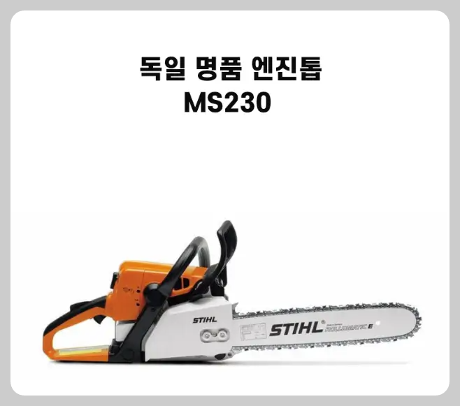 독일 MS230