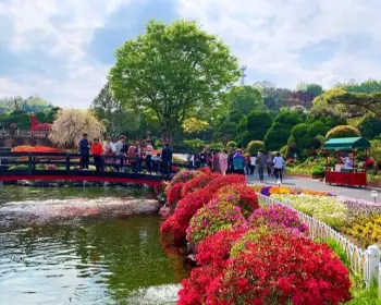 베어트리파크 철쭉축제 봄과 철쭉_6