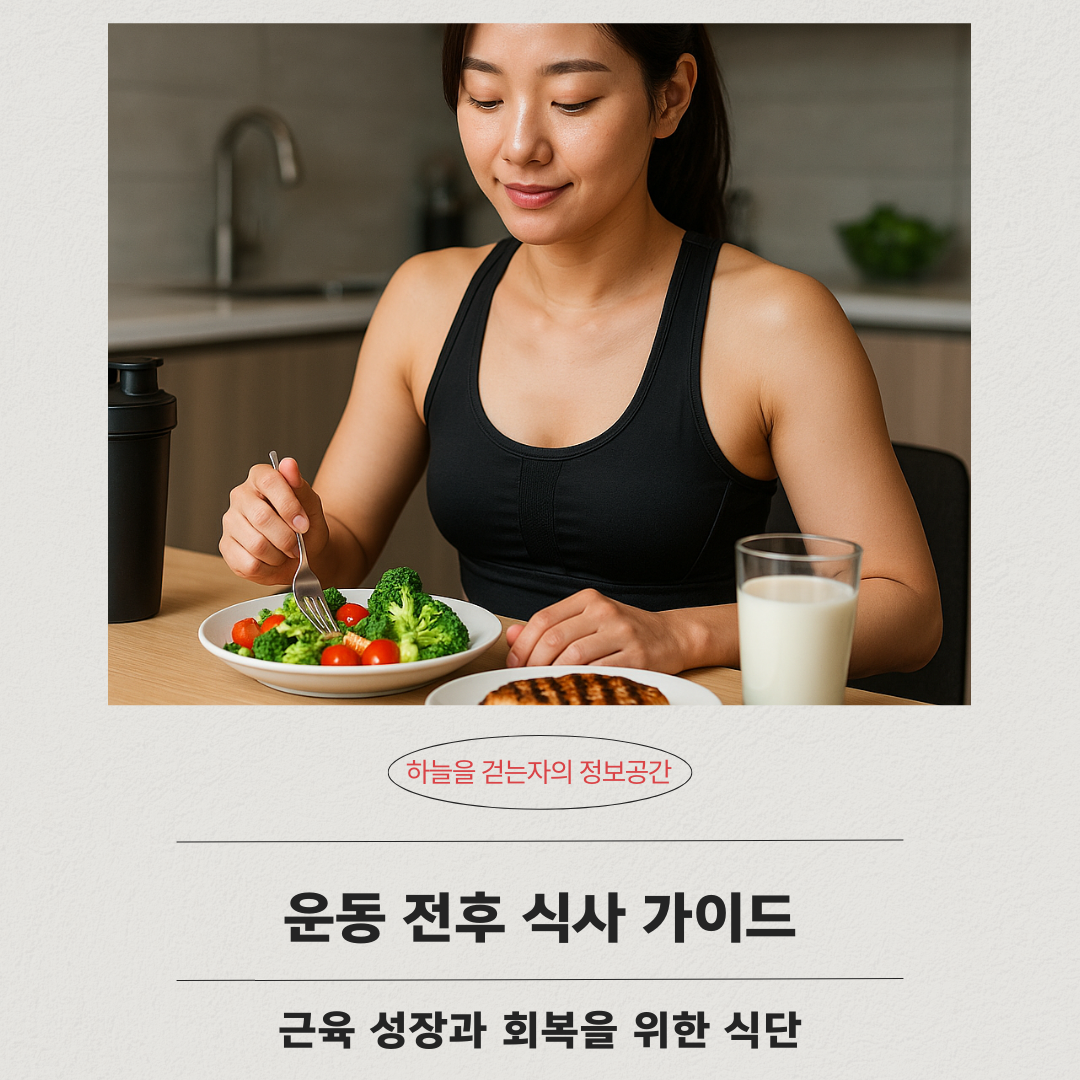 운동 전후 식사 가이드 ❘ 근육 성장과 회복을 위한 식단