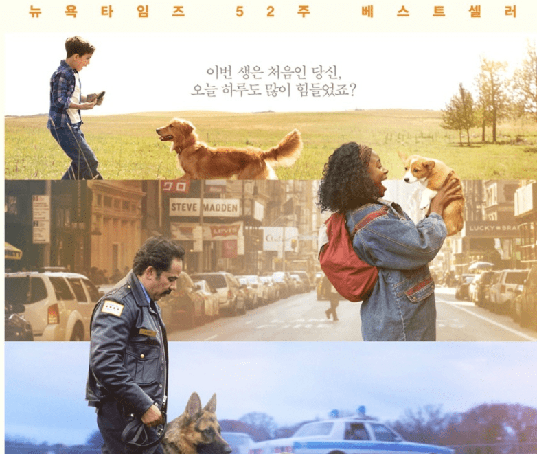 영화-베일리-어게인-메인-포스터