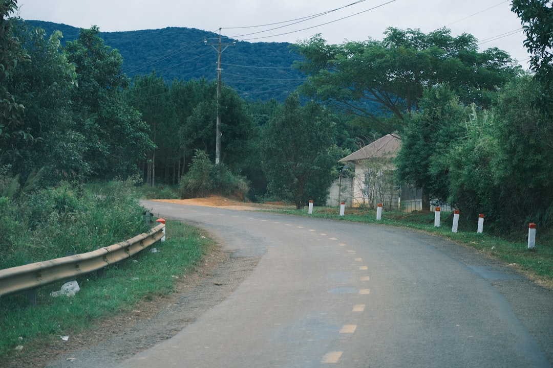 guarantor