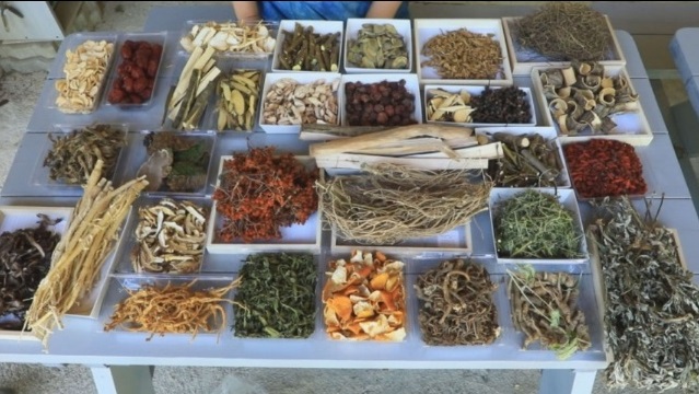 6시내고향-봉화약초민박-약초-식당-밥상-예약