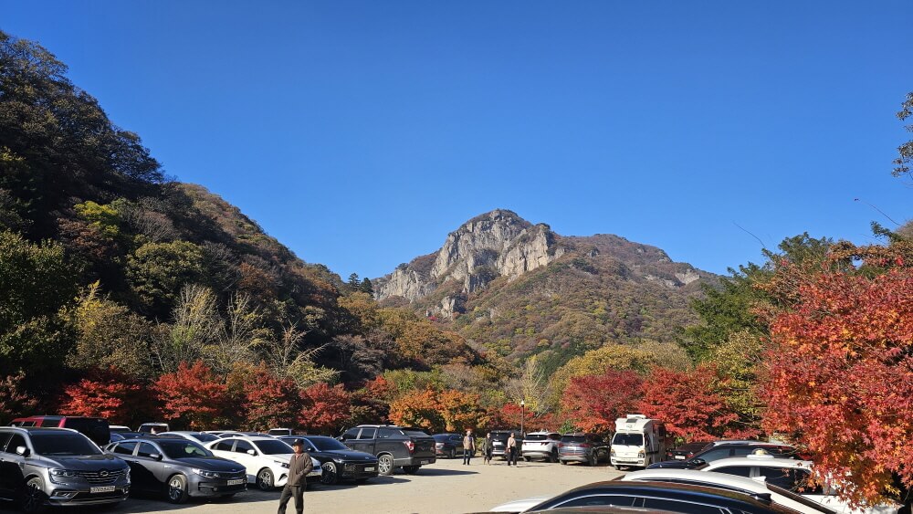 전북 정읍 백양사 가을 트레킹 : 늦가을 단풍 산책코스 &amp; 백학봉 포토존 추천