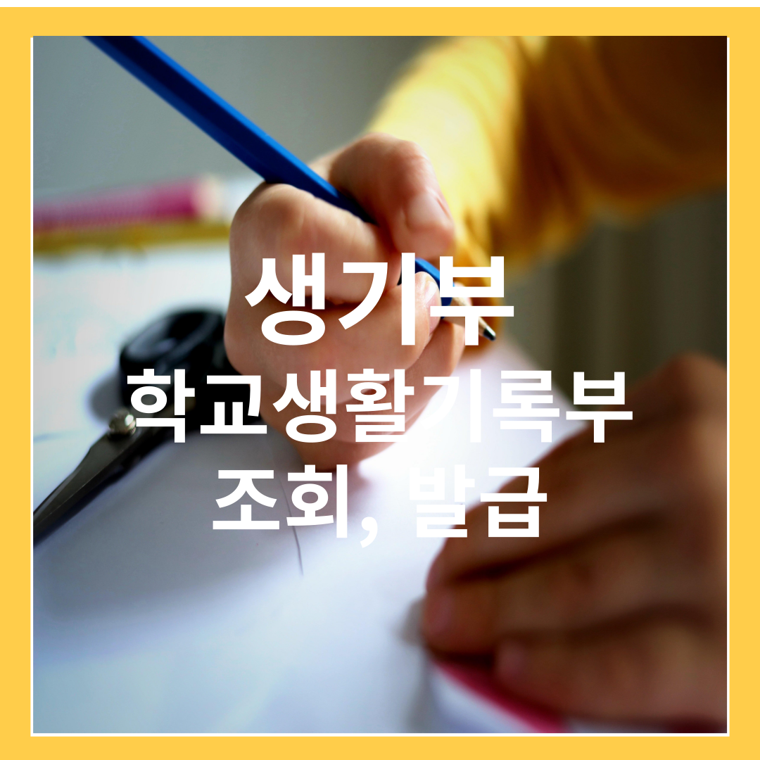 생기부-학교생활기록부 중요성, 발급방법