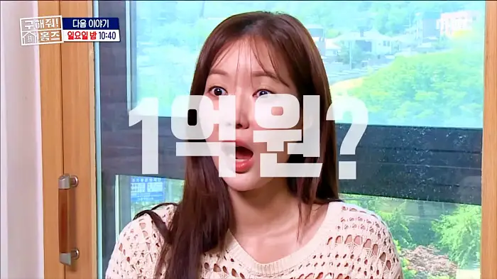 구해줘홈즈 서울 신촌역 30분 내외 전세 2억 1인가구 닥투룸이어 베산임수향 하우스 뷰가빵빵한집 이태원 옵션하나할래요 나는 방하나로 충분해 베이킹받는 집 김포 프렌치아파트 매물