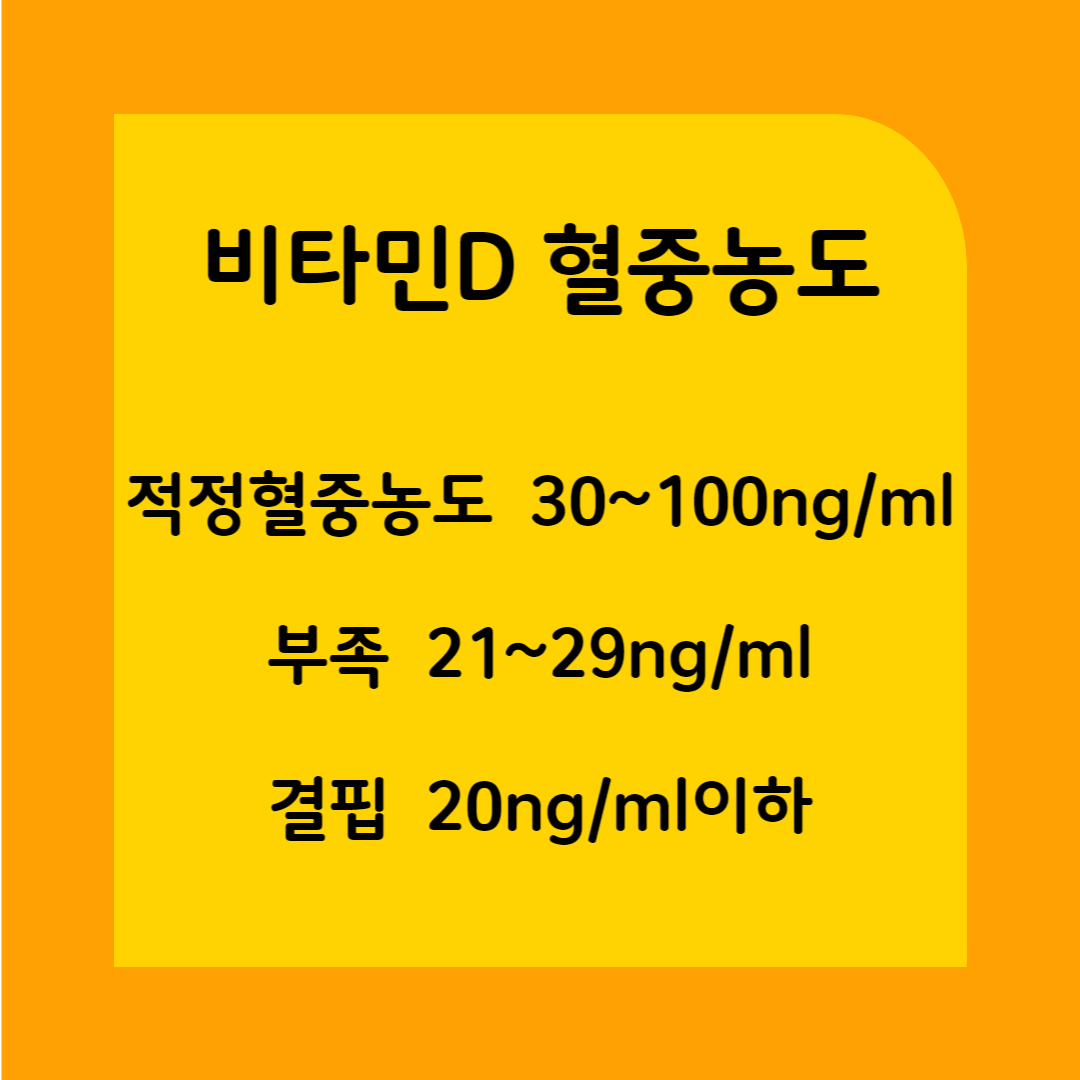 비타민D-혈중농도