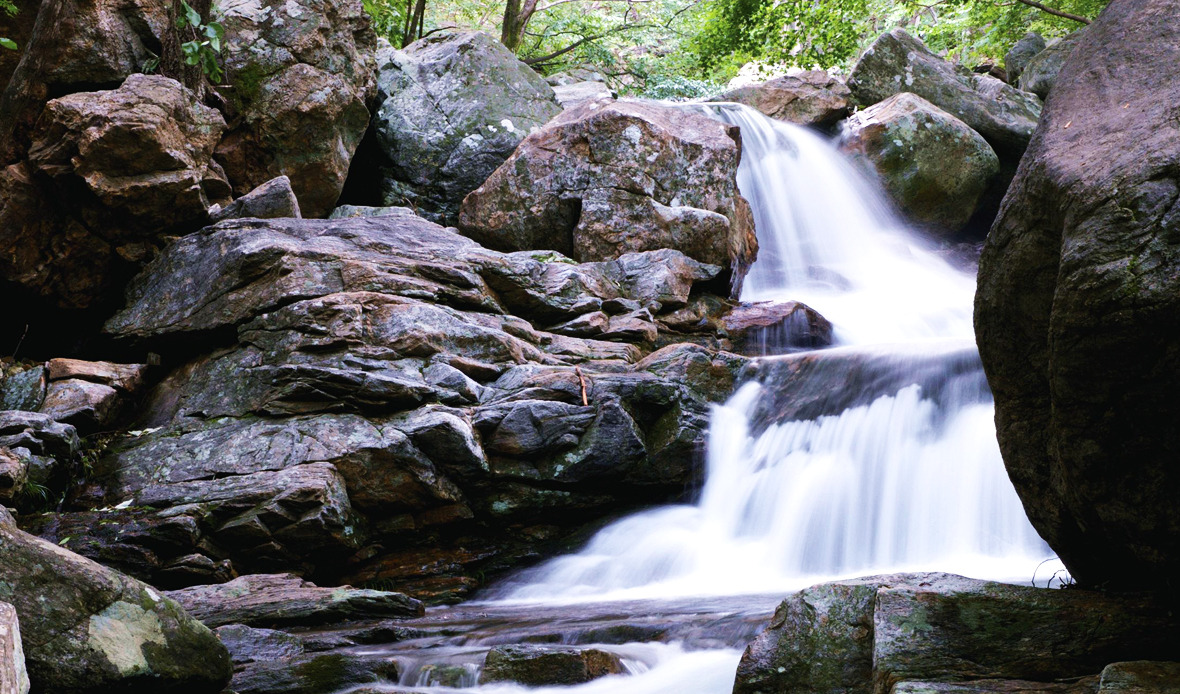 2025 광양전어축제가 한자리에! 