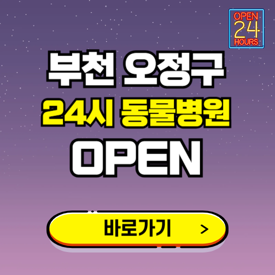 부천시 오정구 24시 동물병원 진료하는 곳 ❘ 설날 휴일 야간 심야 문여는곳 찾기 ❘ 응급진료