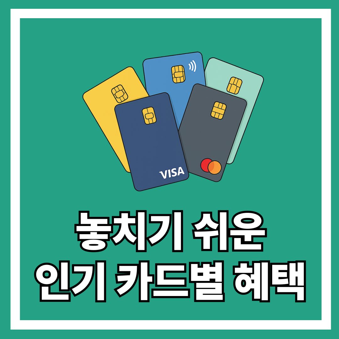 놓치기 쉬운 인기 카드별 혜택