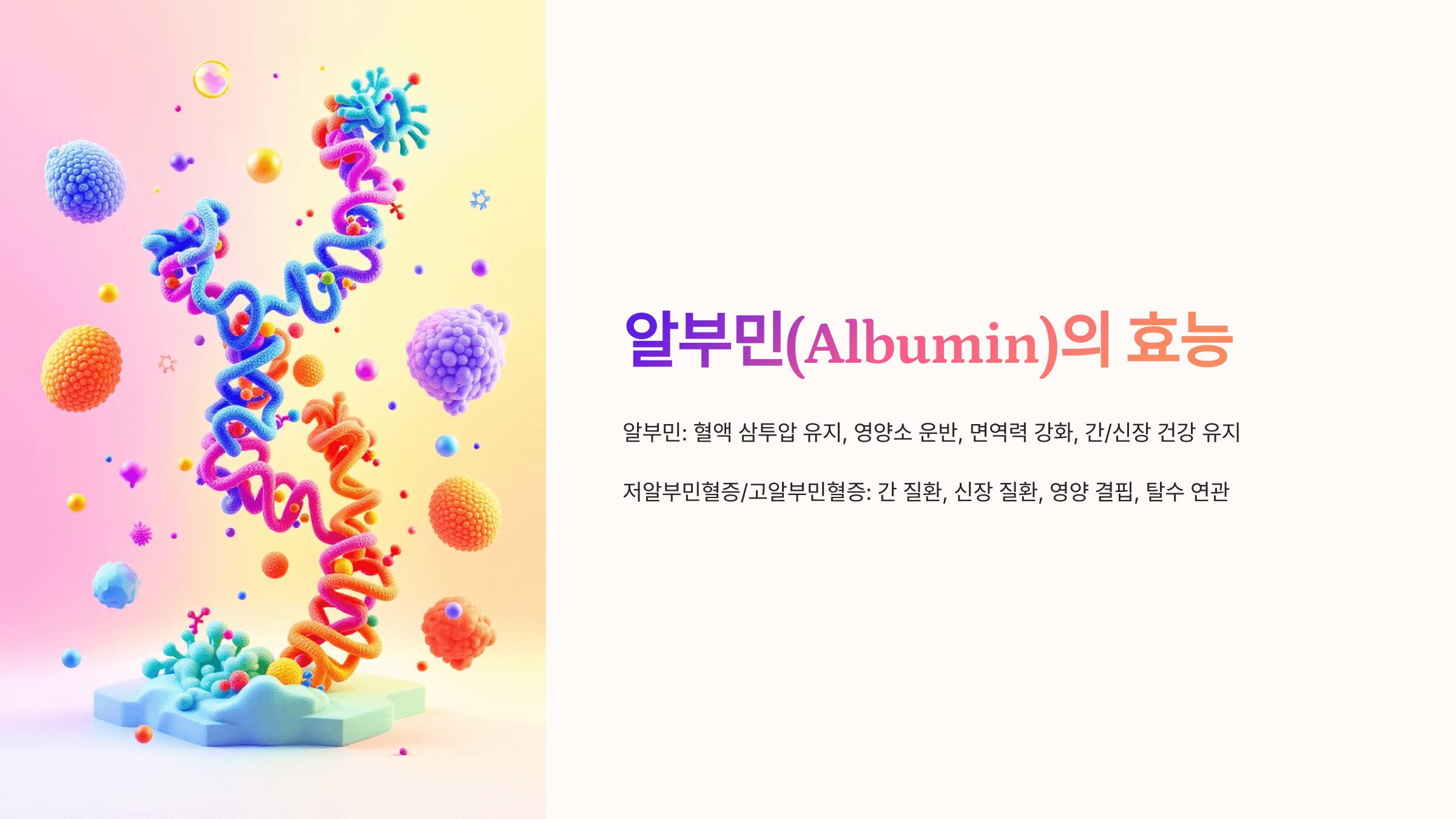 알부민과 관련된 사진입니다.