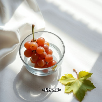 포도 보관방법