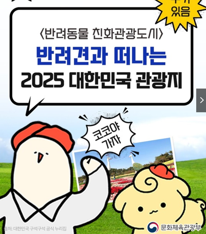 반려견과 함게 떠나는 관광지