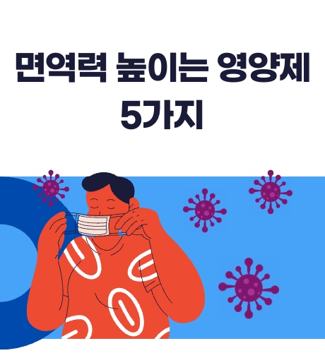 면역력 높이는 영양제 5가지