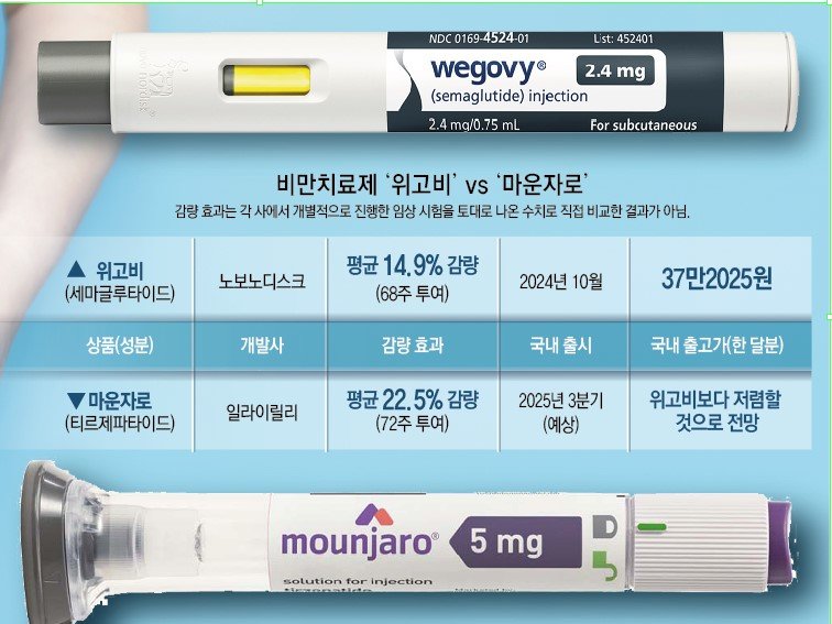 마운자로 vs 위고비: 성분·효과·가격 차이