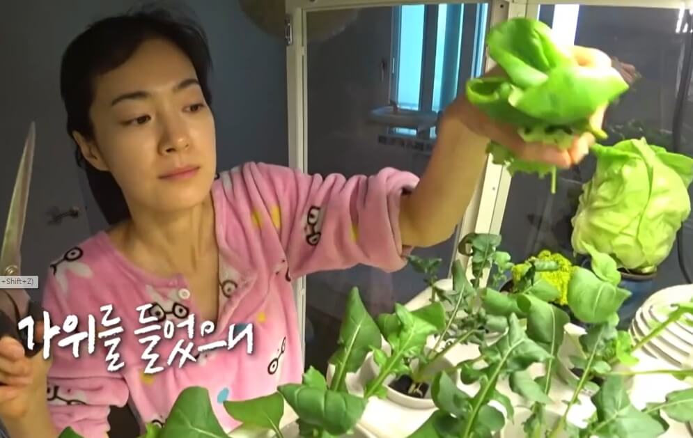 옥자연