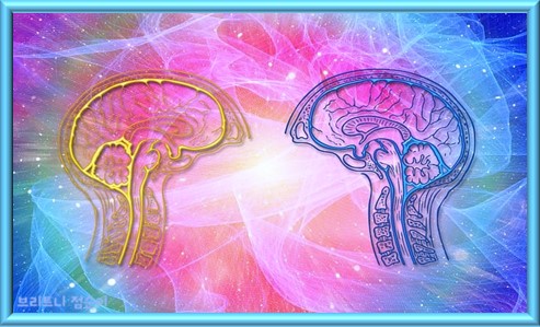 단식 효과 및 단식 부작용