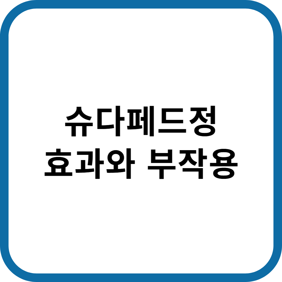 슈다페드정 효과와 부작용
