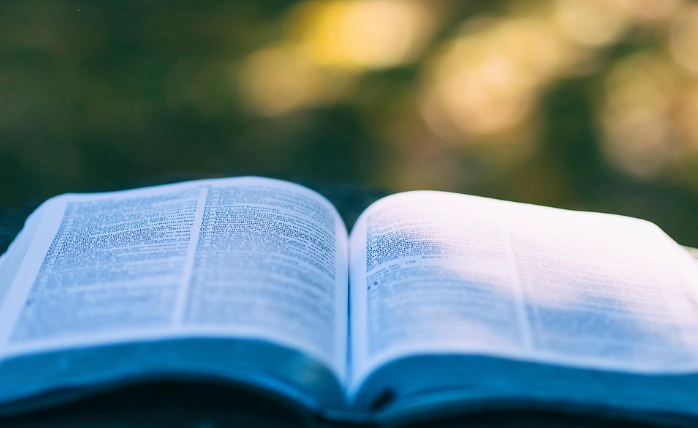 직장인을 위한 힐링 에세이 작가 리스트