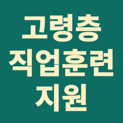 고령층 직업훈련 지원