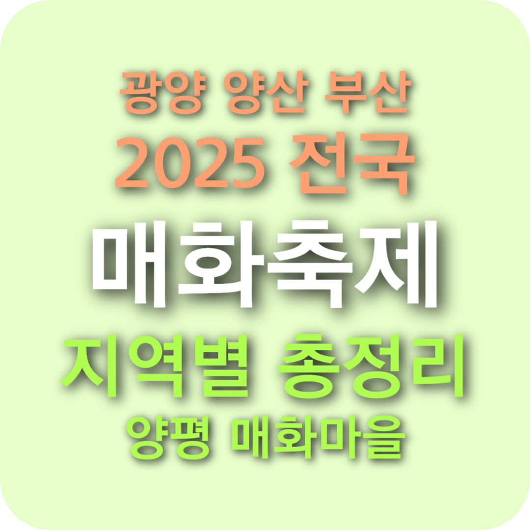 2025년 전국 매화축제 일정 총정리(양평매화마을 광양 양산원동 구례 부산대저)