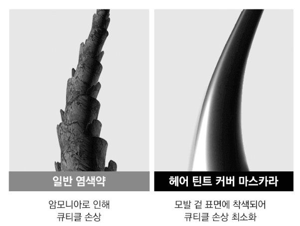 큐티클 손상 비교