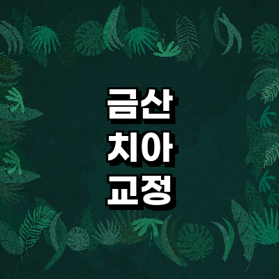 금산군 교정 치과