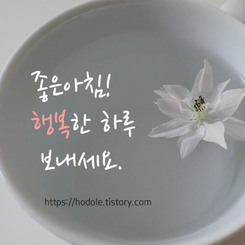 좋으아침