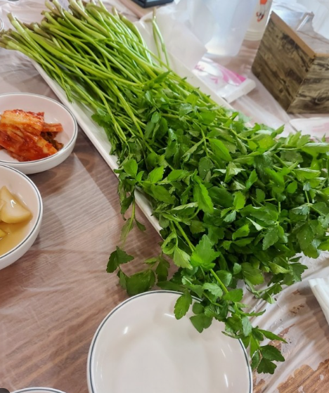 청도한재미나리 맛집추천 고향의봄