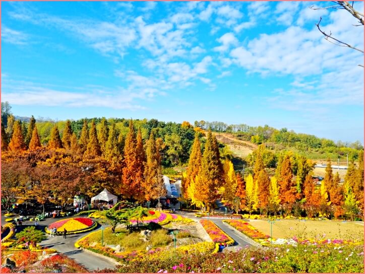 피나클랜드 가격