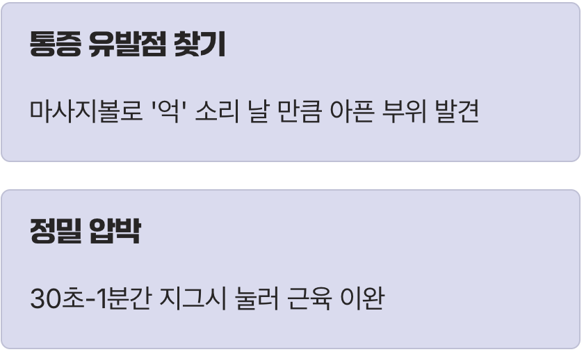 핵심 지점 공략&amp;#44; 마사지볼의 정밀 타격
