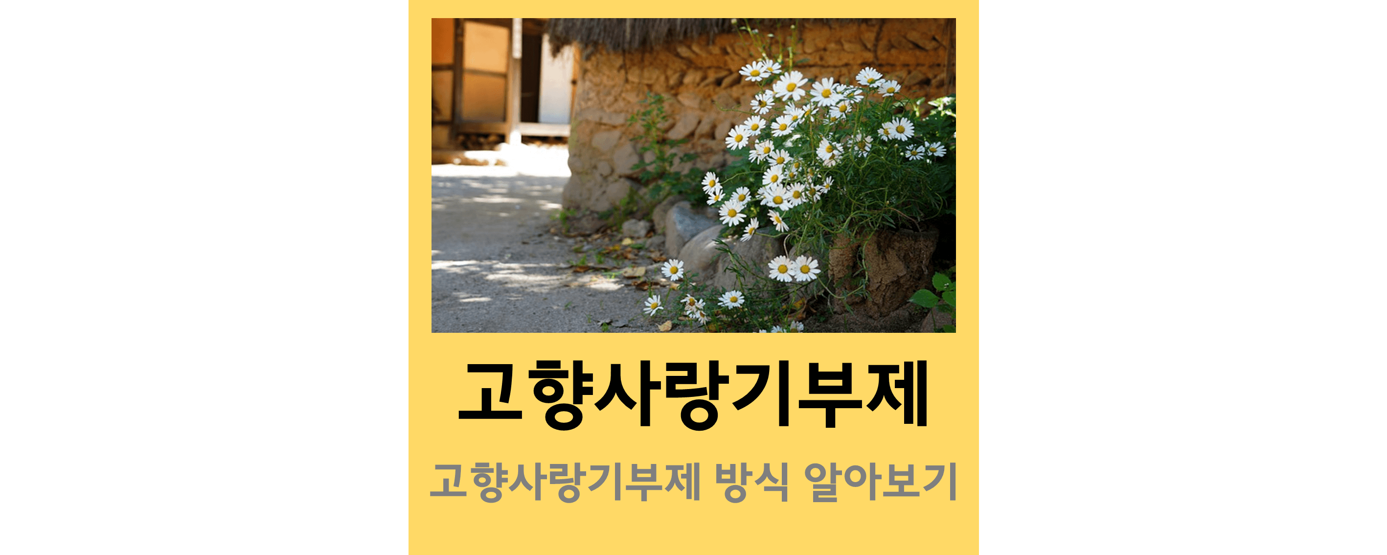 고향사랑기부제