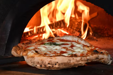 청년피자 창업에 대하여 알아보기