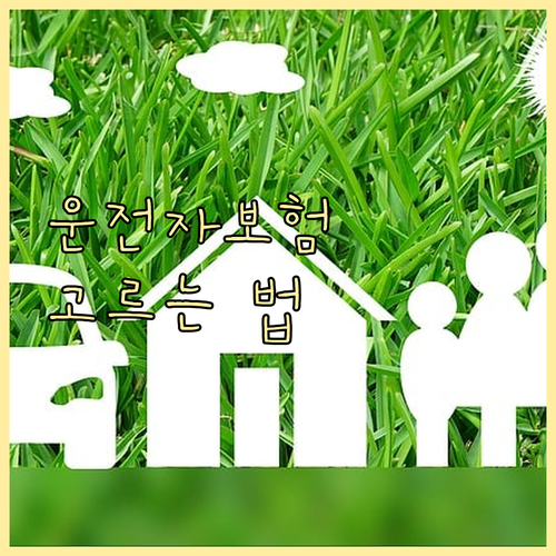 필수 확인! 나에게 맞는 운전자보험 ..