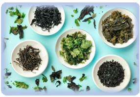 기관지에 좋은 해조류