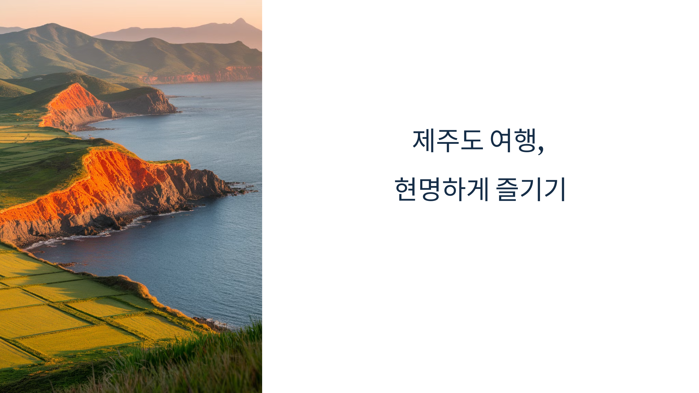 제주도 여행 현명하게 즐기기