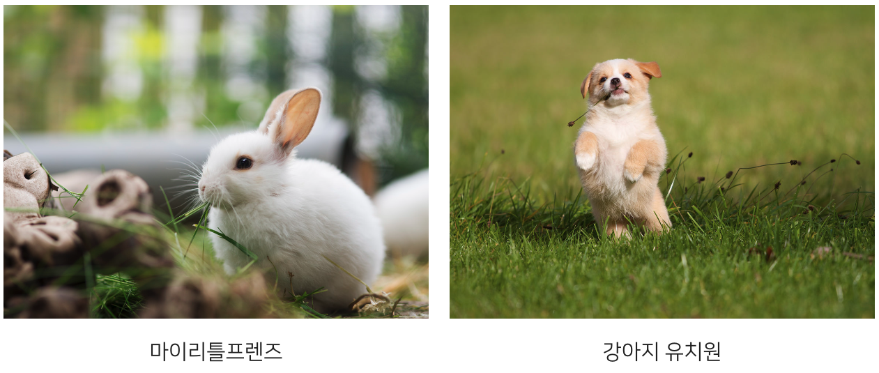 주요 체험존 안내