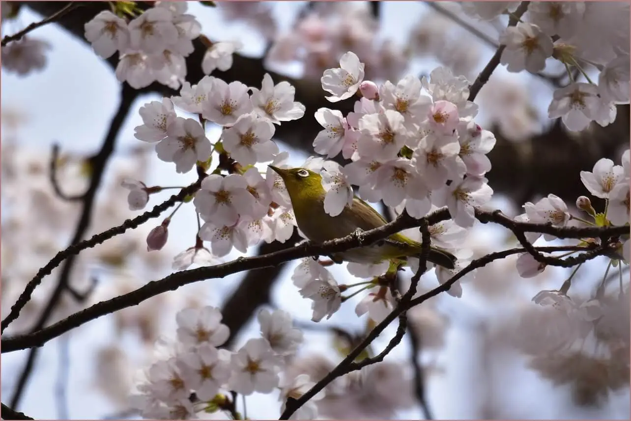 우리은행 예금금리