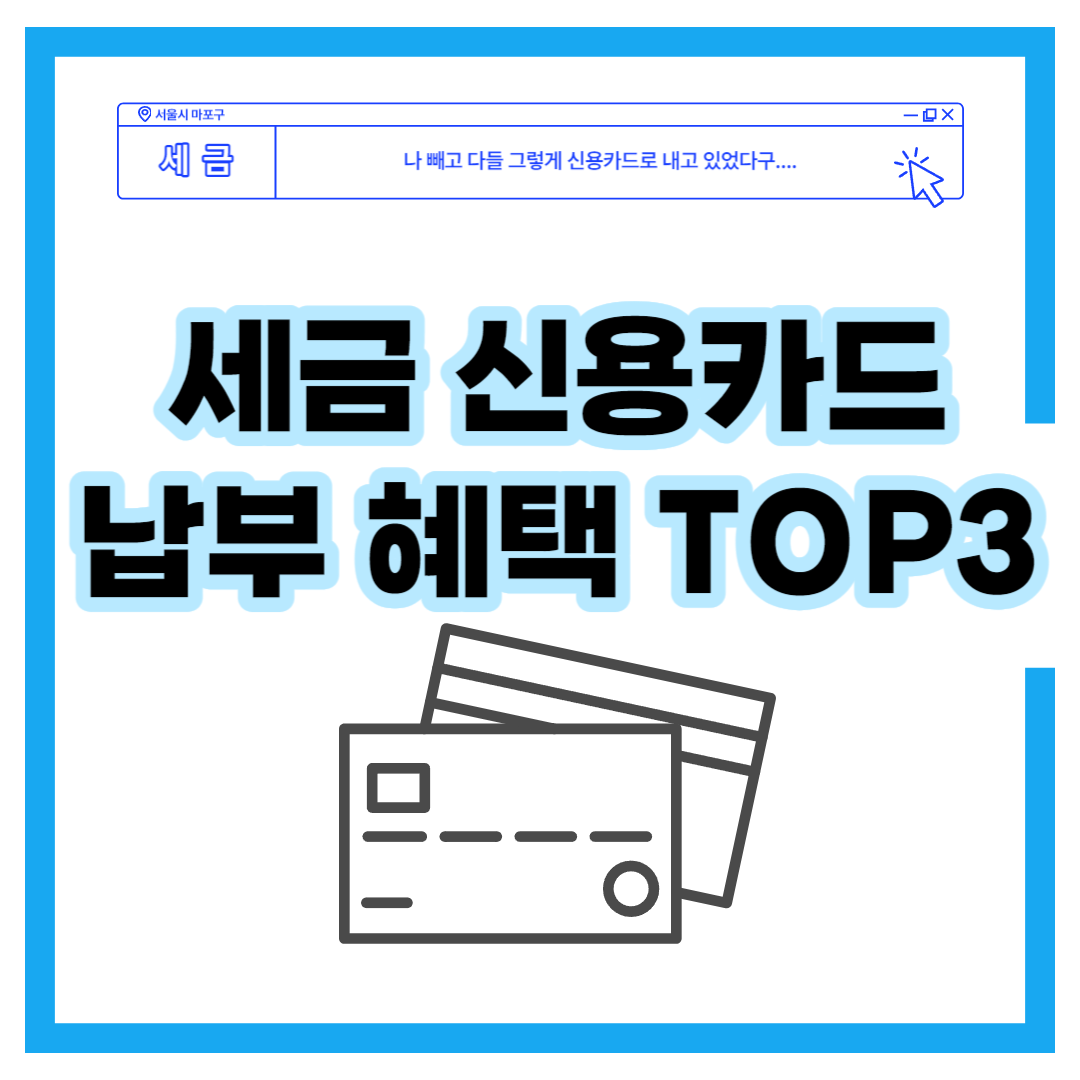 국세 적립 신용카드