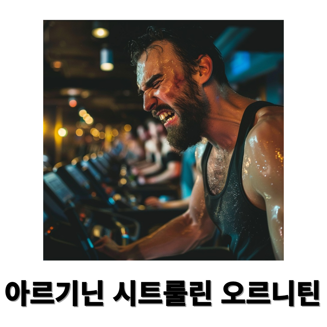 아르기닌과 관련된 사진입니다.
