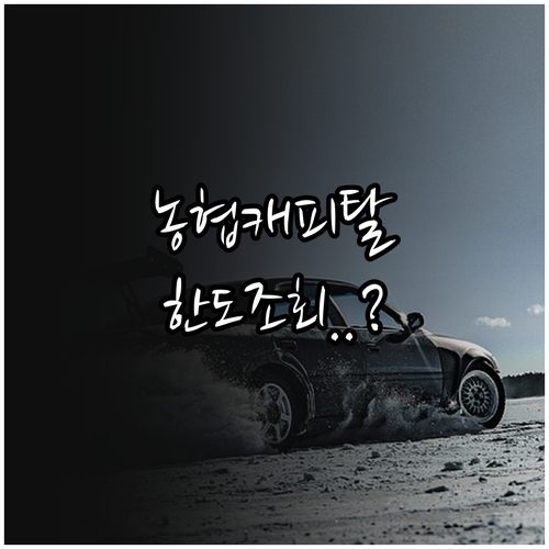 NH농협캐피탈 자동차 할부 금리 한도..