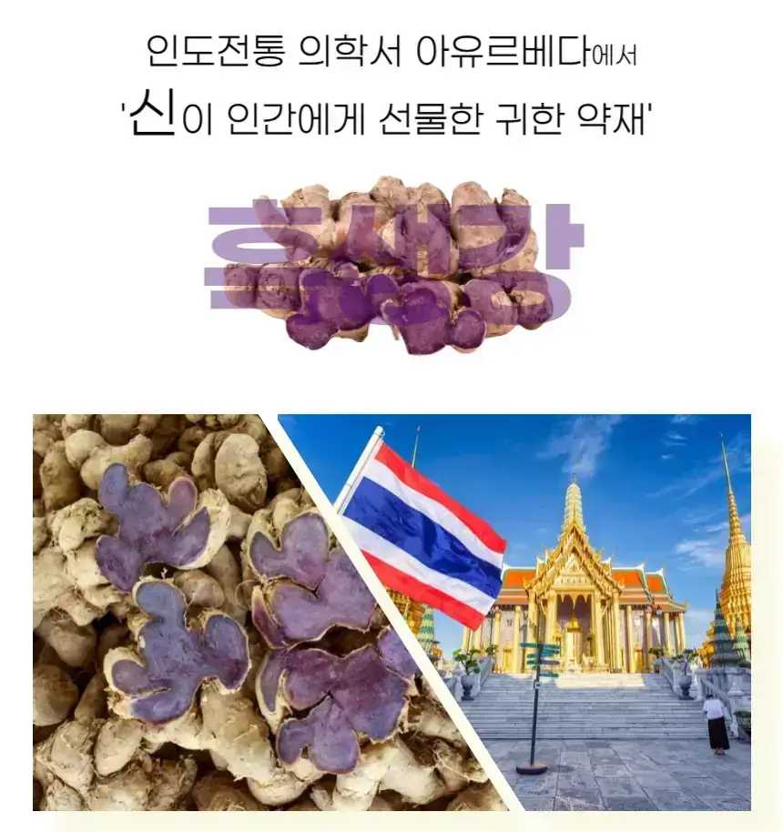 연골주사