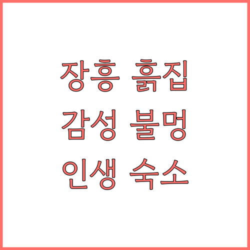 겨울 장흥 여행 숙소 추천 흙집 스테..