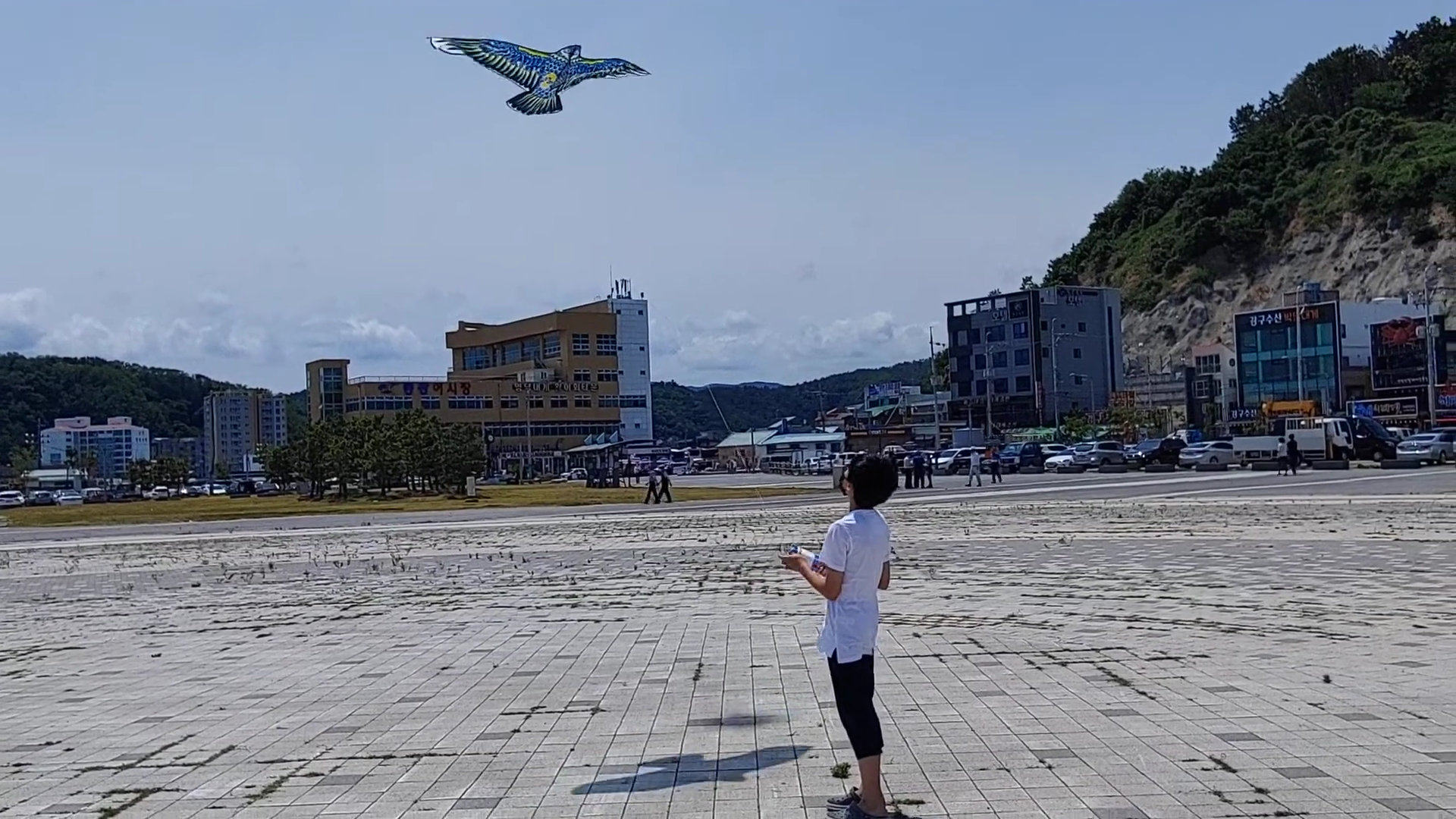 영덕 해파랑공원에서 연을 날리는 모습