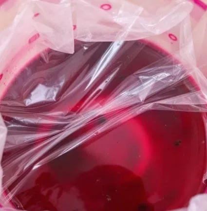 화장실 날파리 없애는법 - 천연트랩 만들기 이미지